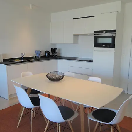 Karthuizer E1 Located Between The Dunes *