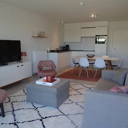Karthuizer E1 Located Between The Dunes * Nieuwpoort