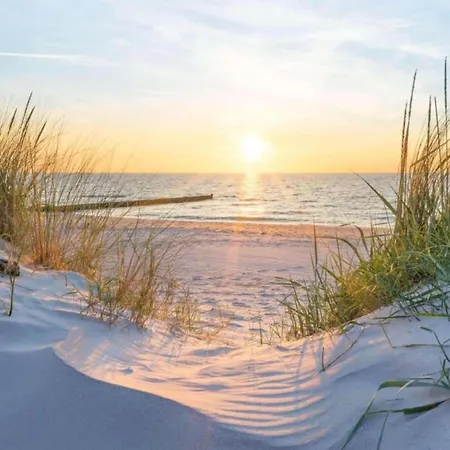 Apartment Karthuizer E1 Located Between The Dunes *