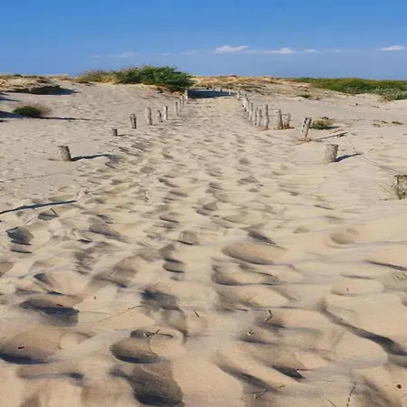 Karthuizer E1 Located Between The Dunes * Nieuwpoort