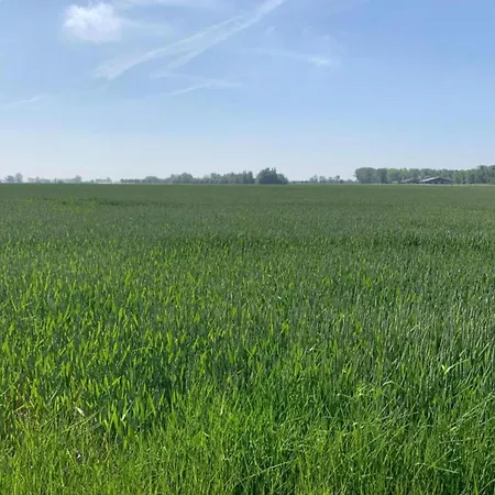 Karthuizer E1 Located Between The Dunes Nieuwpoort