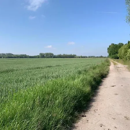 Karthuizer E1 Located Between The Dunes Apartment Nieuwpoort