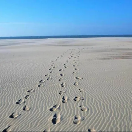 Karthuizer E1 Located Between The Dunes * Nieuwpoort
