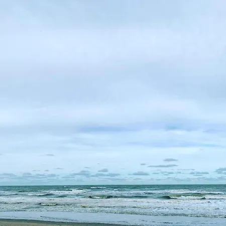 Karthuizer E1 Located Between The Dunes * Nieuwpoort